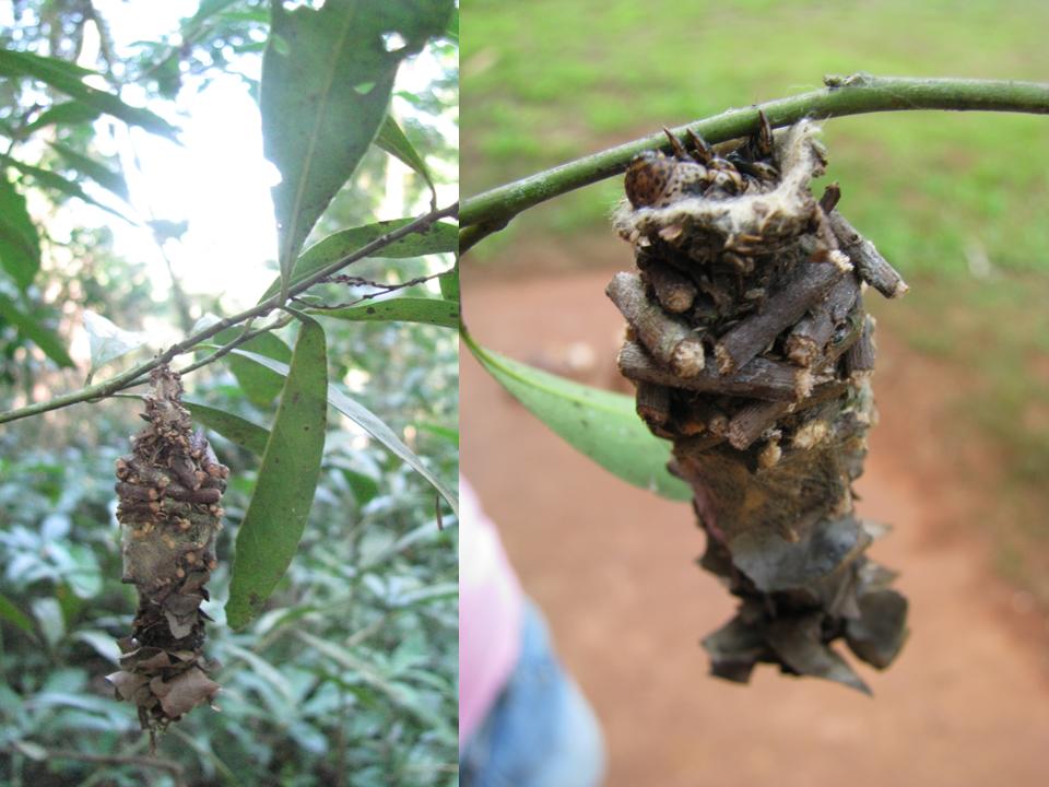 FIGURE 2 FIGURE 2